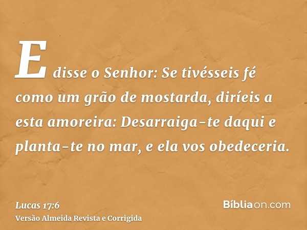 E disse o Senhor: Se tivésseis fé como um grão de mostarda, diríeis a esta amoreira: Desarraiga-te daqui e planta-te no mar, e ela vos obedeceria.