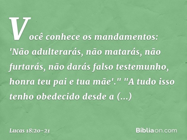 Você conhece os mandamentos: 'Não adulterarás, não matarás, não furtarás, não darás falso testemunho, honra teu pai e tua mãe'." "A tudo isso tenho obedecido de