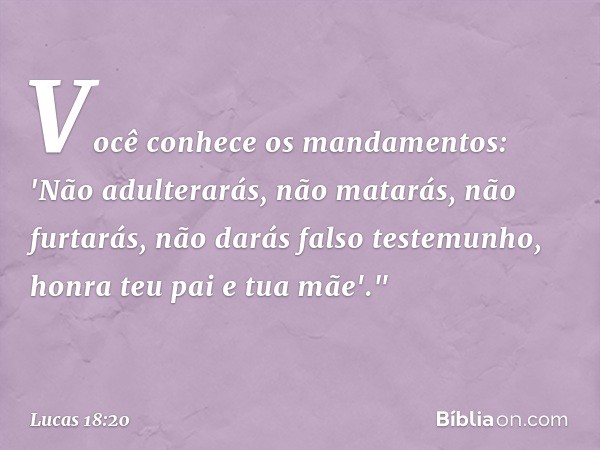 Você conhece os mandamentos: 'Não adulterarás, não matarás, não furtarás, não darás falso testemunho, honra teu pai e tua mãe'." -- Lucas 18:20