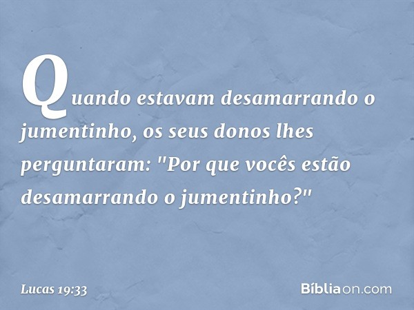 Quando estavam desamarrando o jumentinho, os seus donos lhes perguntaram: "Por que vocês estão desamarrando o jumentinho?" -- Lucas 19:33