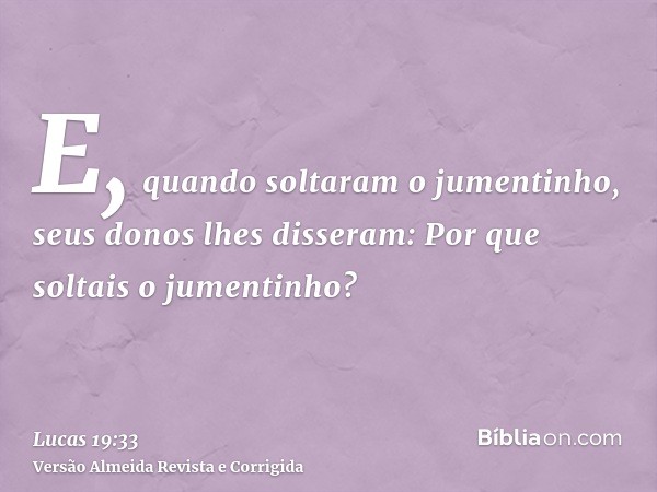 E, quando soltaram o jumentinho, seus donos lhes disseram: Por que soltais o jumentinho?