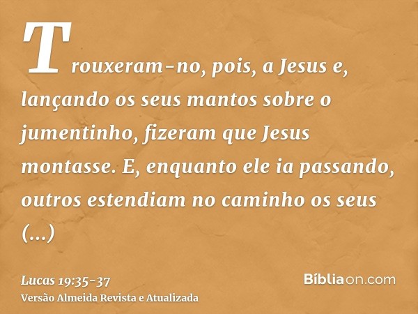 Trouxeram-no, pois, a Jesus e, lançando os seus mantos sobre o jumentinho, fizeram que Jesus montasse.E, enquanto ele ia passando, outros estendiam no caminho o