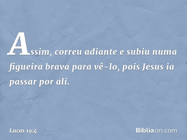 Assim, correu adiante e subiu numa figueira brava para vê-lo, pois Jesus ia passar por ali. -- Lucas 19:4