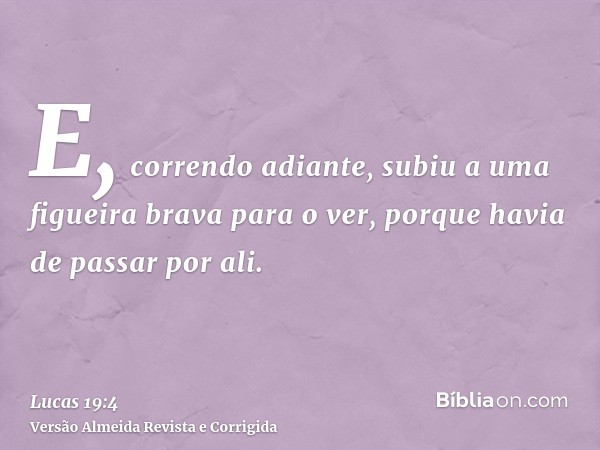 E, correndo adiante, subiu a uma figueira brava para o ver, porque havia de passar por ali.