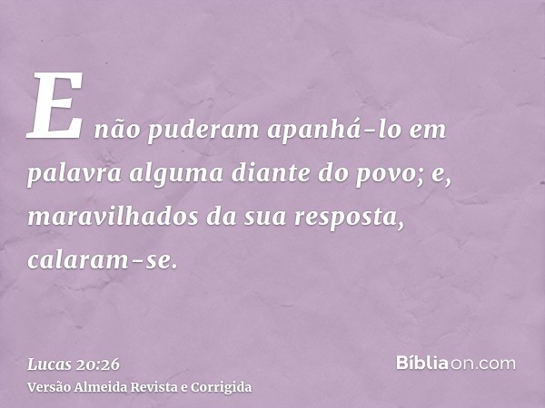 E não puderam apanhá-lo em palavra alguma diante do povo; e, maravilhados da sua resposta, calaram-se.