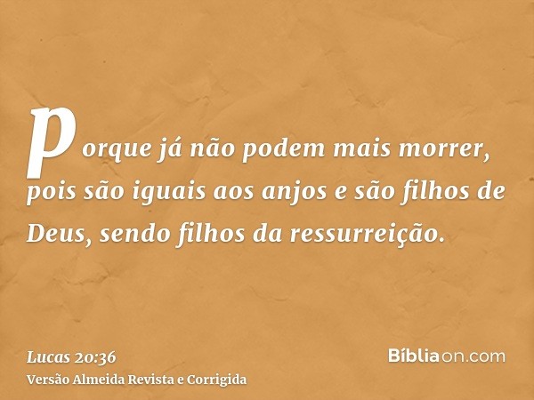 porque já não podem mais morrer, pois são iguais aos anjos e são filhos de Deus, sendo filhos da ressurreição.