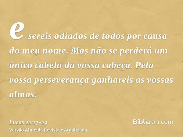 e sereis odiados de todos por causa do meu nome.Mas não se perderá um único cabelo da vossa cabeça.Pela vossa perseverança ganhareis as vossas almas.