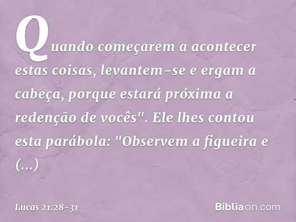 Quando começarem a acontecer estas coisas, levantem-se e ergam a cabeça, porque estará próxima a redenção de vocês". Ele lhes contou esta parábola: "Observem a 