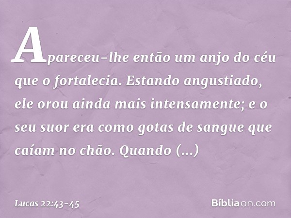 Apareceu-lhe então um anjo do céu que o fortalecia. Estando angustiado, ele orou ainda mais intensamente; e o seu suor era como gotas de sangue que caíam no chã