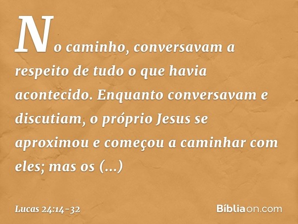 No caminho, conversavam a respeito de tudo o que havia acontecido. Enquanto conversavam e discutiam, o próprio Jesus se aproximou e começou a caminhar com eles;
