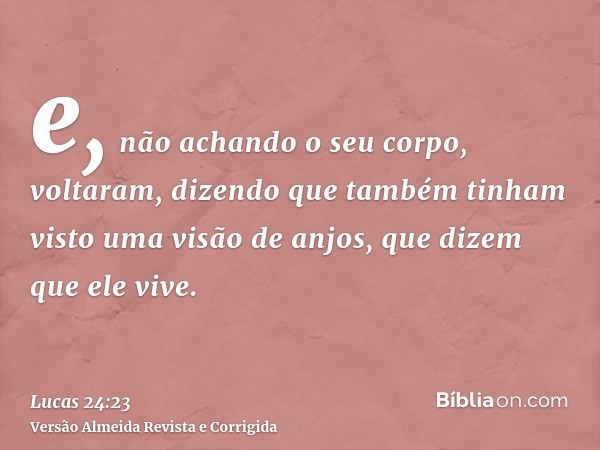 e, não achando o seu corpo, voltaram, dizendo que também tinham visto uma visão de anjos, que dizem que ele vive.