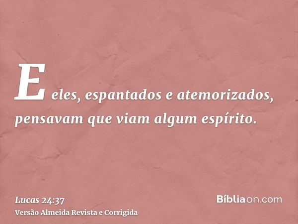 E eles, espantados e atemorizados, pensavam que viam algum espírito.