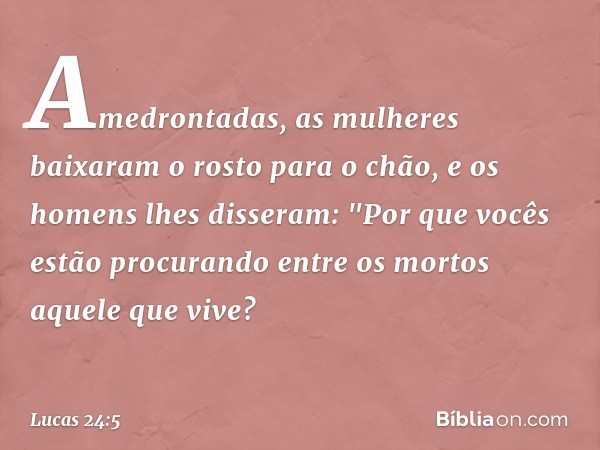 Amedrontadas, as mulheres baixaram o rosto para o chão, e os homens lhes disseram: "Por que vocês estão procurando entre os mortos aquele que vive? -- Lucas 24: