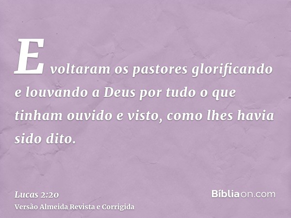 E voltaram os pastores glorificando e louvando a Deus por tudo o que tinham ouvido e visto, como lhes havia sido dito.