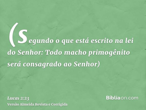 (segundo o que está escrito na lei do Senhor: Todo macho primogênito será consagrado ao Senhor)