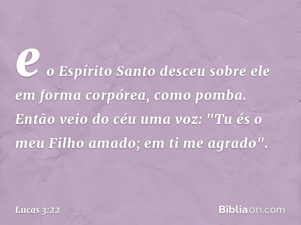 e o Espírito Santo desceu sobre ele em forma corpórea, como pomba. Então veio do céu uma voz: "Tu és o meu Filho amado; em ti me agrado". -- Lucas 3:22