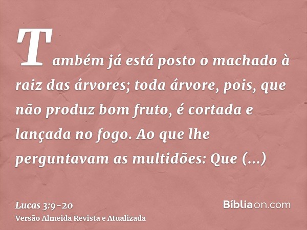 Também já está posto o machado à raiz das árvores; toda árvore, pois, que não produz bom fruto, é cortada e lançada no fogo.Ao que lhe perguntavam as multidões: