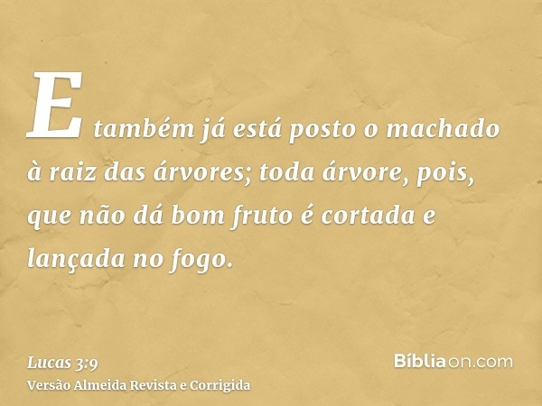 E também já está posto o machado à raiz das árvores; toda árvore, pois, que não dá bom fruto é cortada e lançada no fogo.
