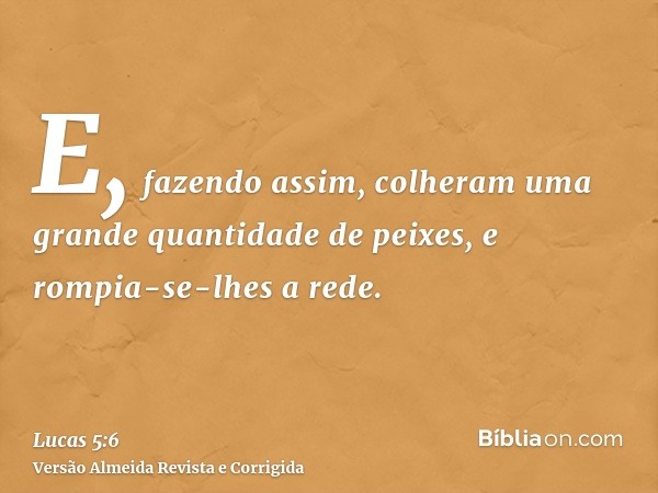 E, fazendo assim, colheram uma grande quantidade de peixes, e rompia-se-lhes a rede.
