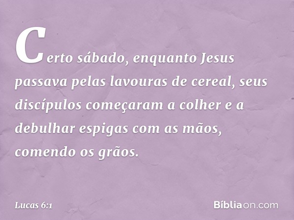 Certo sábado, enquanto Jesus passava pelas lavouras de cereal, seus discípulos começaram a colher e a debulhar espigas com as mãos, comendo os grãos. -- Lucas 6