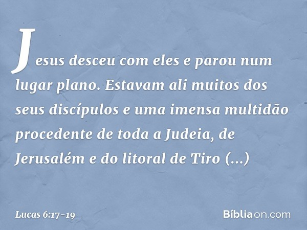 Jesus desceu com eles e parou num lugar plano. Estavam ali muitos dos seus discípulos e uma imensa multidão procedente de toda a Judeia, de Jerusalém e do litor