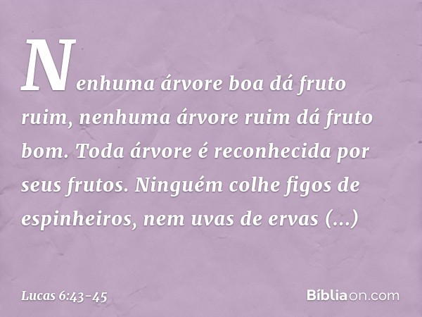 "Nenhuma árvore boa dá fruto ruim, nenhuma árvore ruim dá fruto bom. Toda árvore é reconhecida por seus frutos. Ninguém colhe figos de espinheiros, nem uvas de