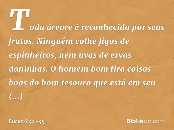 Toda árvore é reconhecida por seus frutos. Ninguém colhe figos de espinheiros, nem uvas de ervas daninhas. O homem bom tira coisas boas do bom tesouro que está 