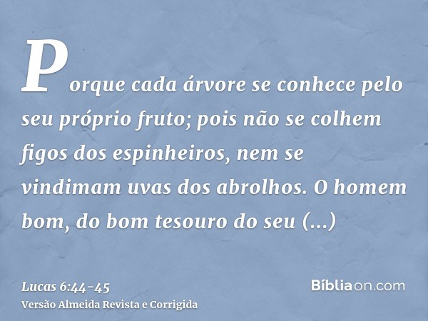 Porque cada árvore se conhece pelo seu próprio fruto; pois não se colhem figos dos espinheiros, nem se vindimam uvas dos abrolhos.O homem bom, do bom tesouro do