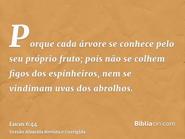 Porque cada árvore se conhece pelo seu próprio fruto; pois não se colhem figos dos espinheiros, nem se vindimam uvas dos abrolhos.