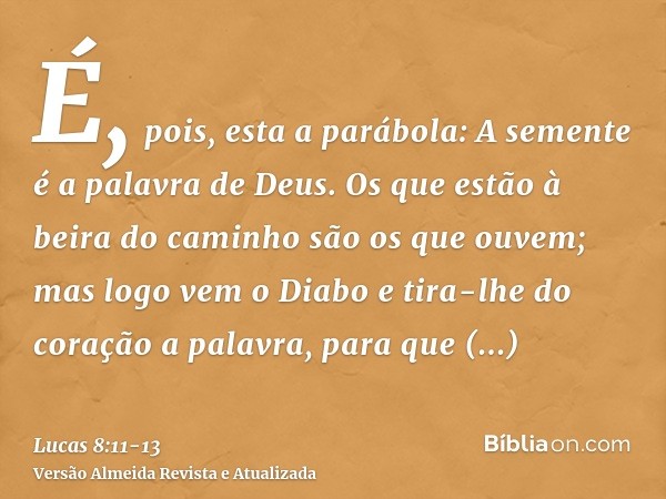 É, pois, esta a parábola: A semente é a palavra de Deus.Os que estão à beira do caminho são os que ouvem; mas logo vem o Diabo e tira-lhe do coração a palavra,