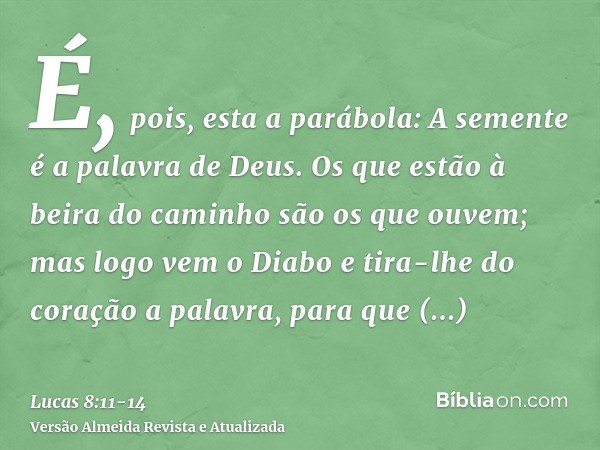 É, pois, esta a parábola: A semente é a palavra de Deus.Os que estão à beira do caminho são os que ouvem; mas logo vem o Diabo e tira-lhe do coração a palavra,