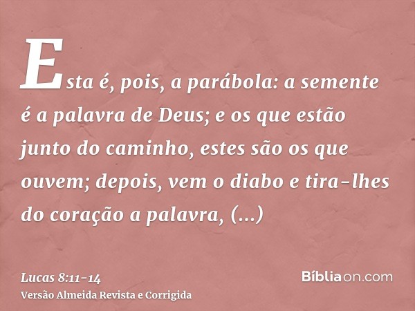 Esta é, pois, a parábola: a semente é a palavra de Deus;e os que estão junto do caminho, estes são os que ouvem; depois, vem o diabo e tira-lhes do coração a pa