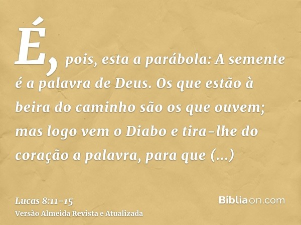 É, pois, esta a parábola: A semente é a palavra de Deus.Os que estão à beira do caminho são os que ouvem; mas logo vem o Diabo e tira-lhe do coração a palavra, 