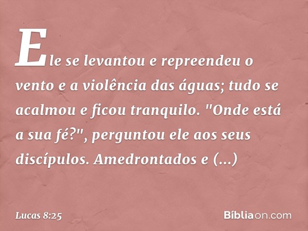 Ele se levantou e repreendeu o vento e a violência das águas; tudo se acalmou e ficou tranquilo.
"Onde está a sua fé?", perguntou ele aos seus discípulos.
Amedr