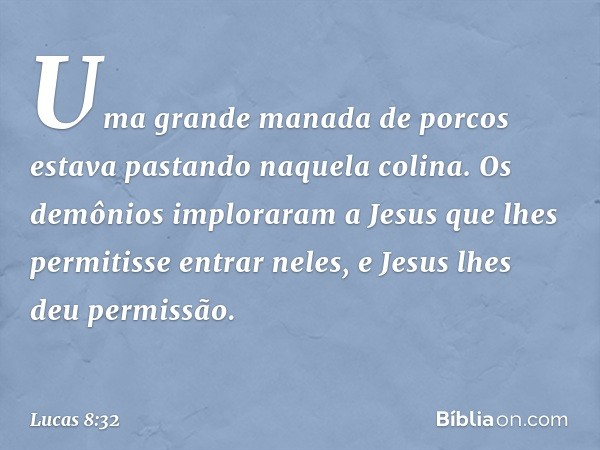 Uma grande manada de porcos estava pastando naquela colina. Os demônios imploraram a Jesus que lhes permitisse entrar neles, e Jesus lhes deu permissão. -- Luca