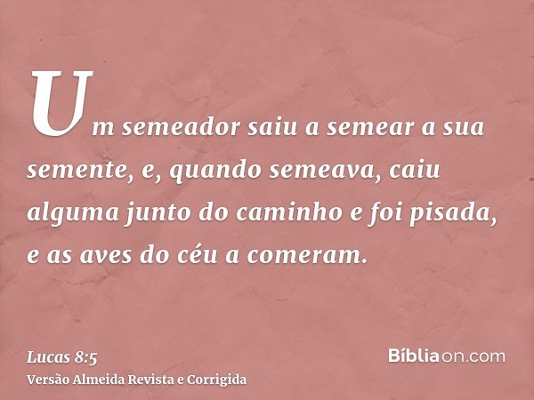 Um semeador saiu a semear a sua semente, e, quando semeava, caiu alguma junto do caminho e foi pisada, e as aves do céu a comeram.
