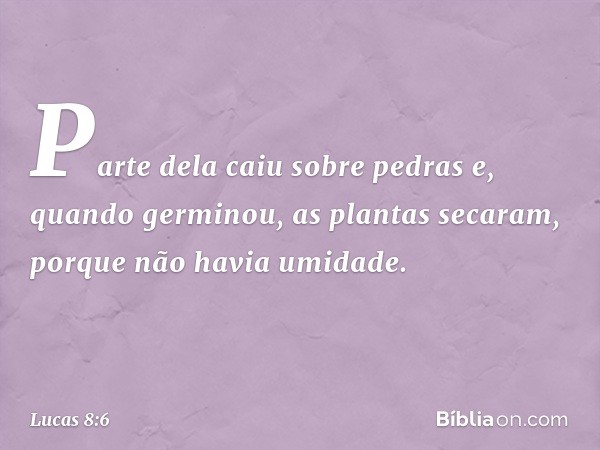 Parte dela caiu sobre pedras e, quando germinou, as plantas secaram, porque não havia umidade. -- Lucas 8:6