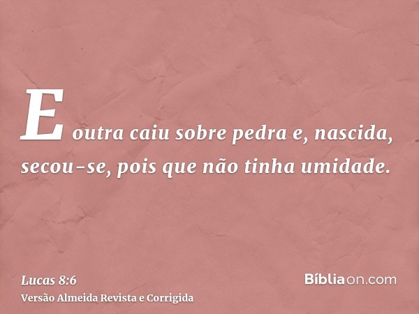 E outra caiu sobre pedra e, nascida, secou-se, pois que não tinha umidade.