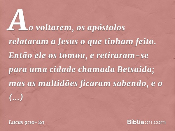 Ao voltarem, os apóstolos relataram a Jesus o que tinham feito. Então ele os tomou, e retiraram-se para uma cidade chamada Betsaida; mas as multidões ficaram sa