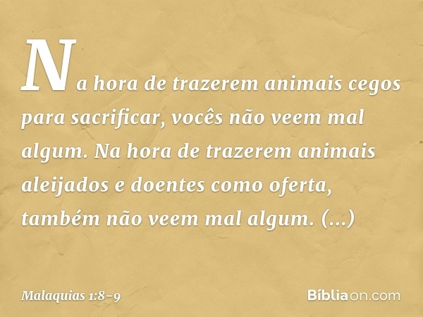 "Na hora de trazerem animais cegos para sacrificar, vocês não veem mal algum. Na hora de trazerem animais aleijados e doentes como oferta, também não veem mal a