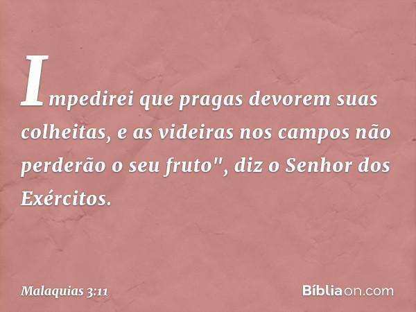 Impedirei que pragas devo­rem suas colheitas, e as videiras nos campos não perderão o seu fruto", diz o Senhor dos Exércitos. -- Malaquias 3:11