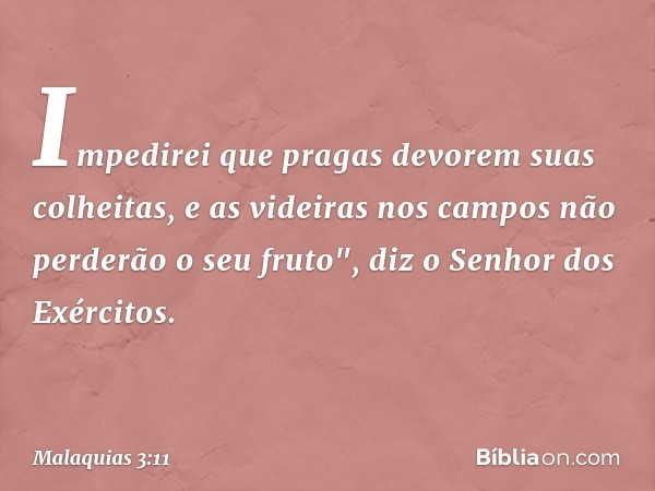 Impedirei que pragas devorem suas colheitas, e as videiras nos campos não perderão o seu fruto", diz o Senhor dos Exércitos. -- Malaquias 3:11