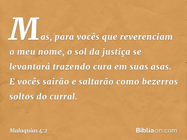 Mas, para vocês que reverenci­am o meu nome, o sol da justiça se levantará trazendo cura em suas asas. E vocês sairão e saltarão como bezerros soltos do curral.