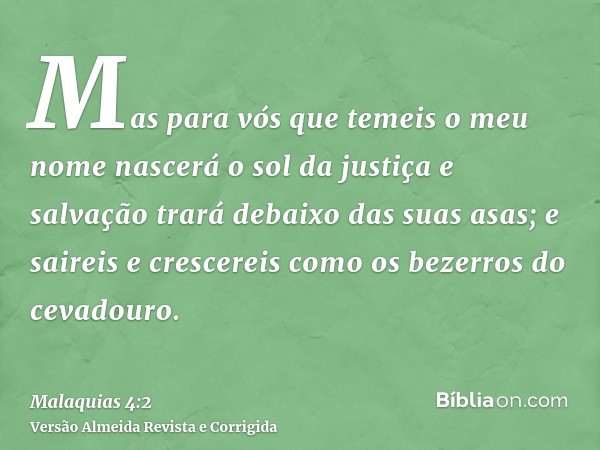 Mas para vós que temeis o meu nome nascerá o sol da justiça e salvação trará debaixo das suas asas; e saireis e crescereis como os bezerros do cevadouro.
