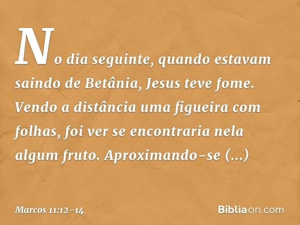 No dia seguinte, quando estavam saindo de Betânia, Jesus teve fome. Vendo a distância uma figueira com folhas, foi ver se encontraria nela algum fruto. Aproxima