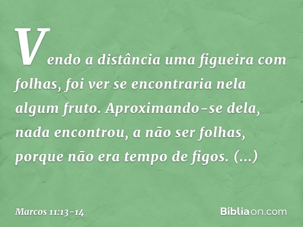 Vendo a distância uma figueira com folhas, foi ver se encontraria nela algum fruto. Aproximando-se dela, nada encontrou, a não ser folhas, porque não era tempo