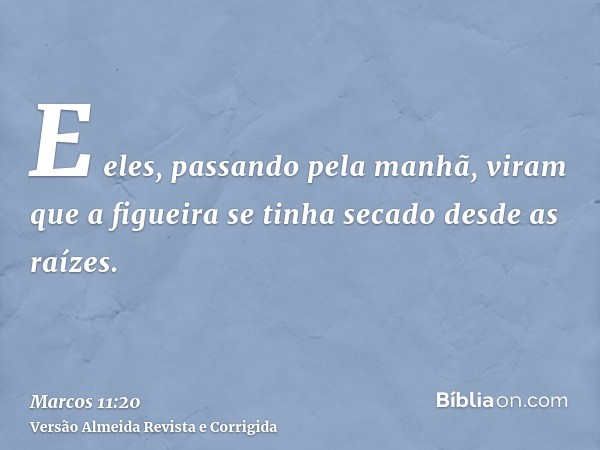 E eles, passando pela manhã, viram que a figueira se tinha secado desde as raízes.