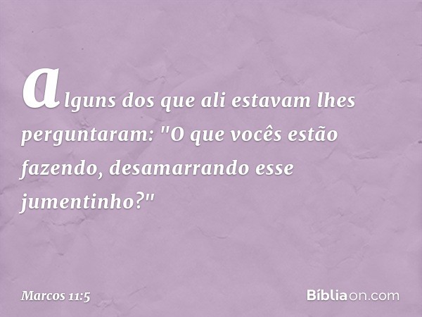 alguns dos que ali estavam lhes perguntaram: "O que vocês estão fazendo, desamarrando esse jumentinho?" -- Marcos 11:5