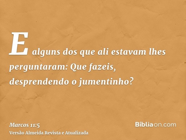 E alguns dos que ali estavam lhes perguntaram: Que fazeis, desprendendo o jumentinho?