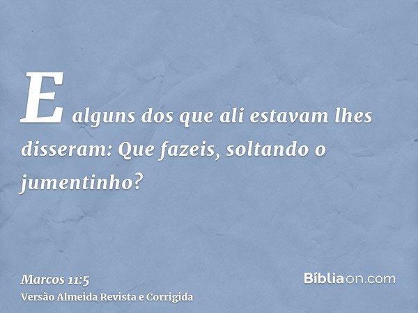E alguns dos que ali estavam lhes disseram: Que fazeis, soltando o jumentinho?